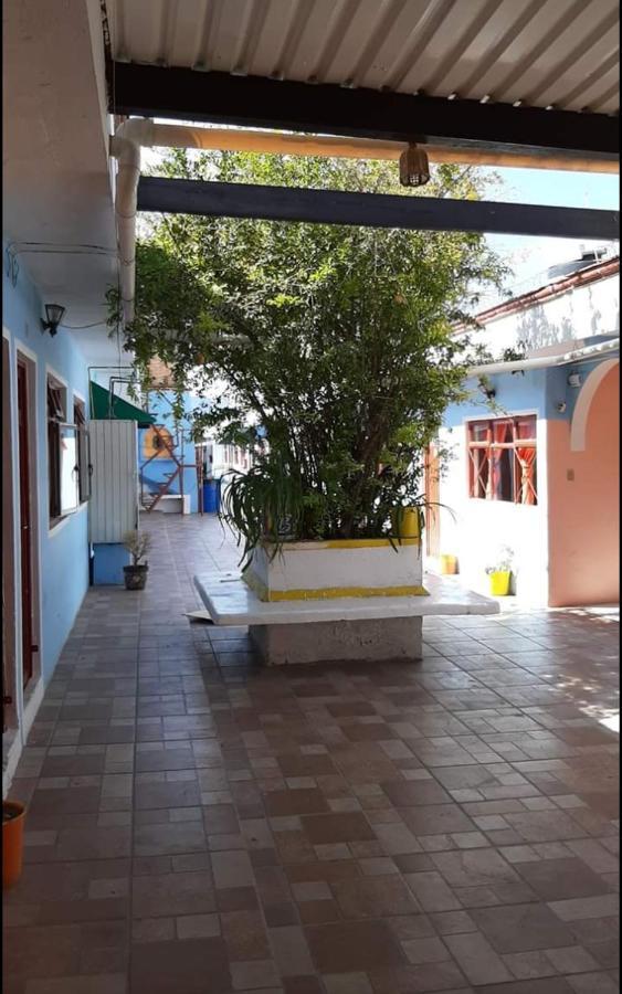 Hotel Reforma Inn ケレタロ エクステリア 写真